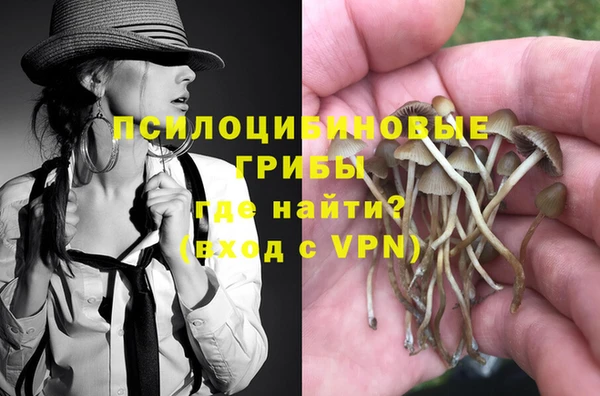 стафф Белокуриха