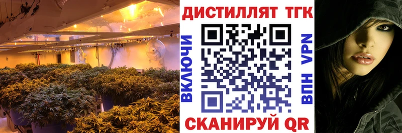 Дистиллят ТГК вейп  где можно купить наркотик  Велиж 