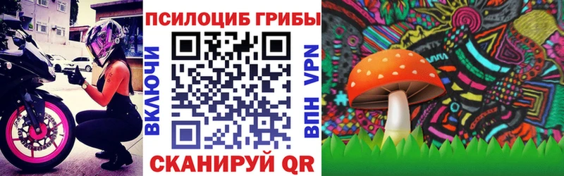 MEGA зеркало  Велиж  Галлюциногенные грибы GOLDEN TEACHER 